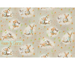 Bio Jersey Lillestoff - Hase & Gans